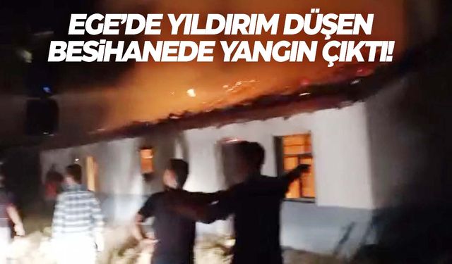 Ege’de besihaneden çıkan yangın korkuya neden oldu! 5 kişi hastanelik oldu!