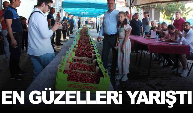 En güzel kirazlar yarıştı!