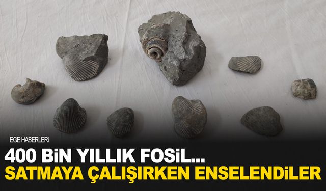 400 bin yıllık fosili satıyorlardı… Yakayı ele verdiler…