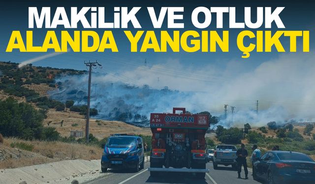 İzmir’de makilik ve otluk alanda yangın çıktı!