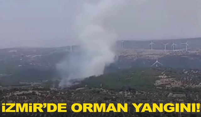 İzmir’de orman yangını çıktı!