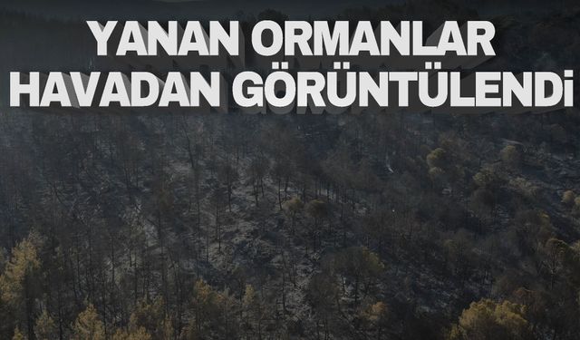 İzmir’de orman yangınında zarar gören alanlar havadan görüntülendi