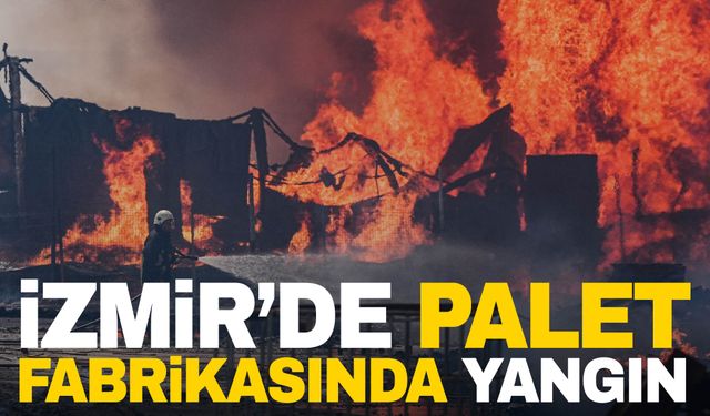 İzmir’de palet fabrikasında yangın!