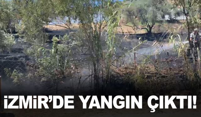 İzmir’de yangın çıktı… Ekiplerin müdahalesiyle yangın söndürüldü