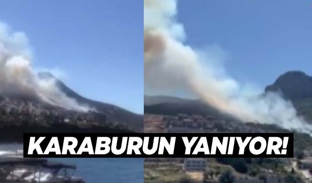 İzmir’de yeni orman yangını! Karaburun yanıyor!