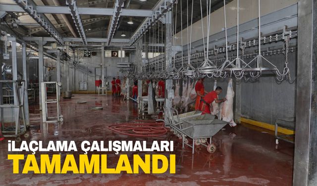 Kurban satış yerleri ve mezbahalarda ilaçlama çalışmaları tamamlandı