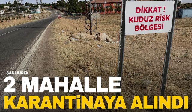 Mahallede kuduz paniği! İki mahalle karantinaya alındı