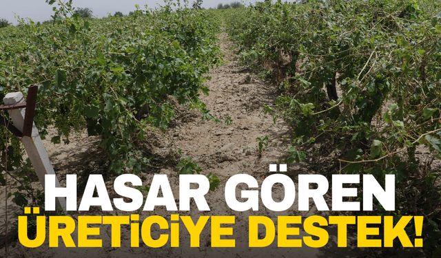 Hasar gören üreticilere destek!