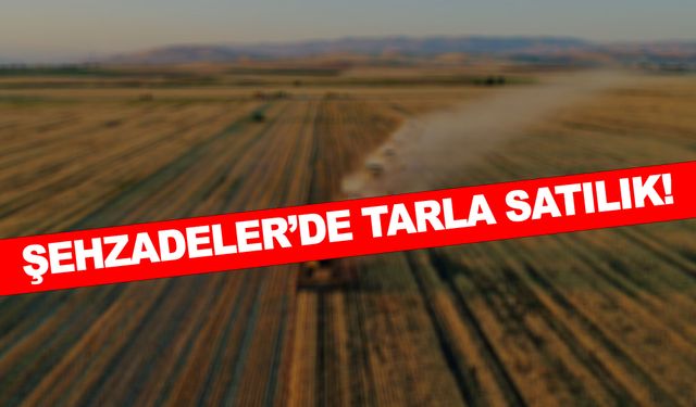 Manisa Şehzadeler'de tarla satılıyor!