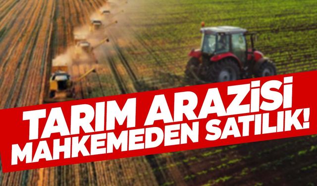 Manisa Yunusemre’de tarım arazisi satılıyor!