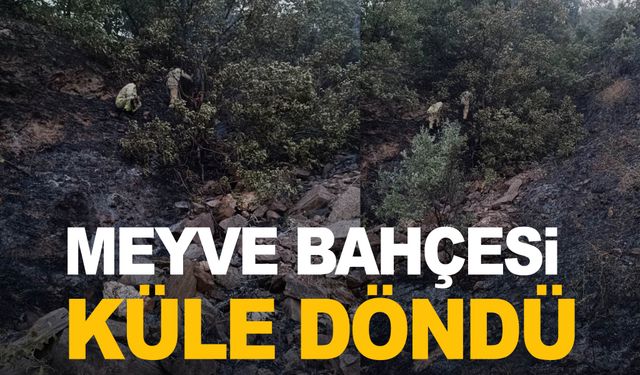 Manisa’da 50 dekarlık meyve bahçesi kül oldu