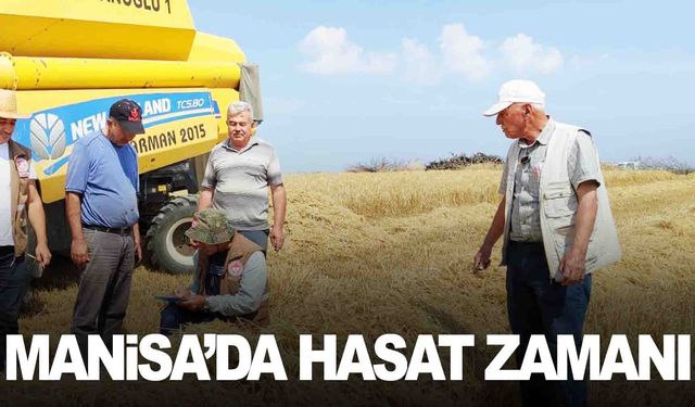 Manisa’da bakanlığın yüzde 75 hibesiyle ekilmişti… Hasadı başladı