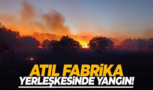 Manisa’da eski sigara fabrikası yandı!