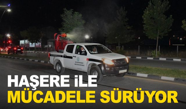 Manisa'da haşere ile mücadele devam ediyor