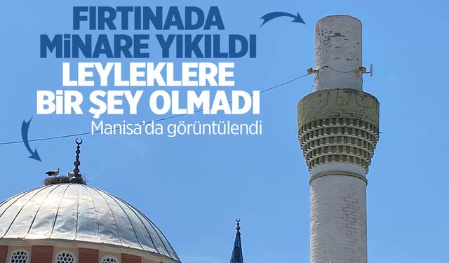 Manisa'da kaydedildi! Minareyi yıkan dolu yağışı leyleklere dokunmadı...