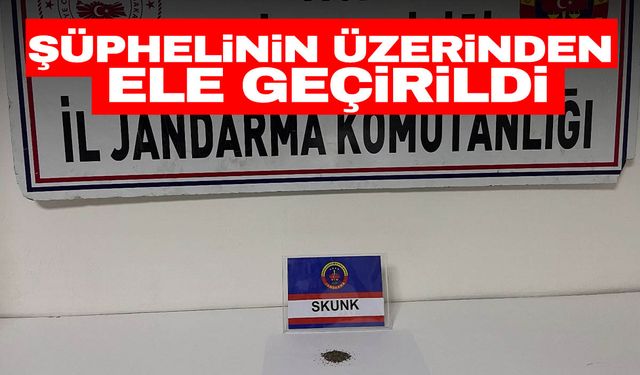 Manisa’da şüpheliden skunk ele geçirildi