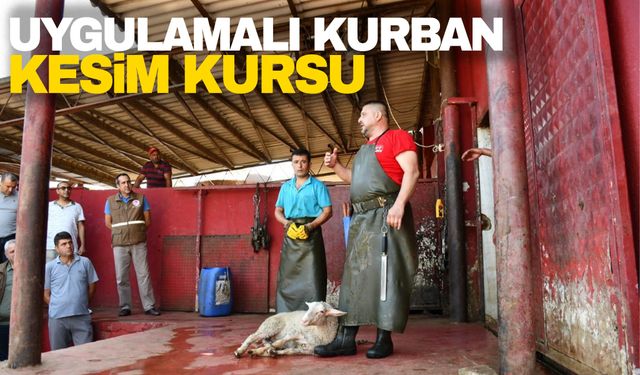 Manisa’da uygulamalı kurban kesim kursu