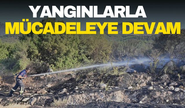 Manisa’da yangınlarla mücadele devam ediyor