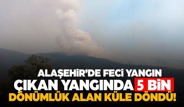 Manisa’daki yangında 5 bin dönümlük alan küle döndü