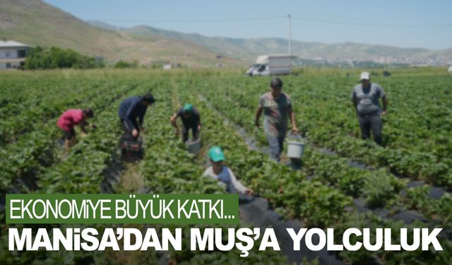 Manisa’dan Muş’a yolculuk… Köşeyi döndü