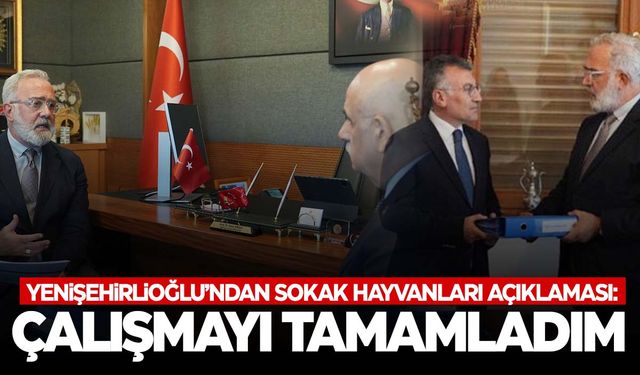 Manisalı vekil sahipsiz hayvanlara yönelik çalışmasını tamamladı!