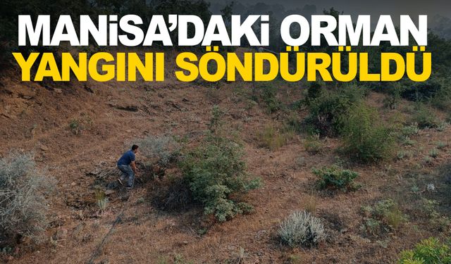 Manisa’daki orman yangını söndürüldü