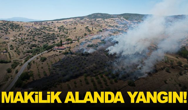 Manisa’nın ilçesinde yangın paniği! Makilik alanda çıktı!