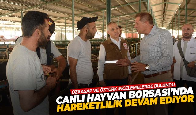 Manisa’ya getirilen kurbanlıklar alıcılarını bekliyor!