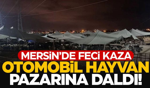 Otomobil hayvan pazarına girdi! Çok sayıda yaralı var!