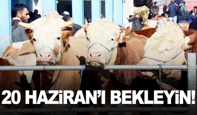 Satılamayan kurbanlıklarla ilgili flaş adım! Başvurular 20 Haziran’da başlıyor