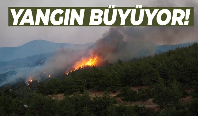 Selçuk ve Kuşadası’nda yangın büyüyor! Evler, oteller ve hayvan barınağı tahliye edildi!