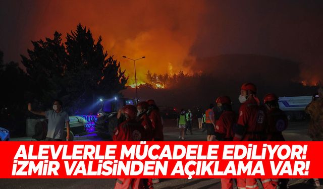 Selçuk’ta alevlerle mücadele ediliyor! İzmir Valisinden açıklama geldi!