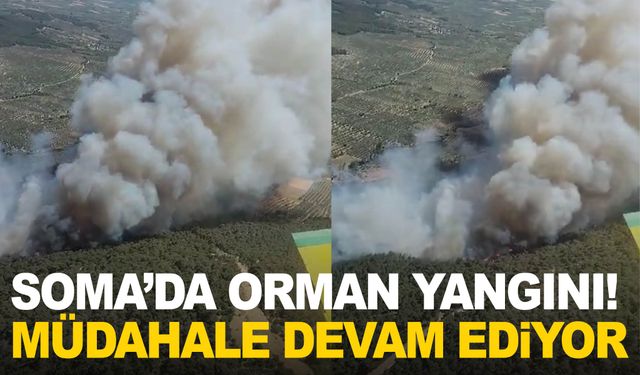 Soma’da orman yangını! Müdahale devam ediyor…