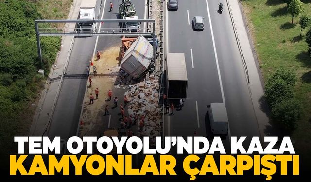 TEM’de feci kaza! İki kamyon çarpıştı!