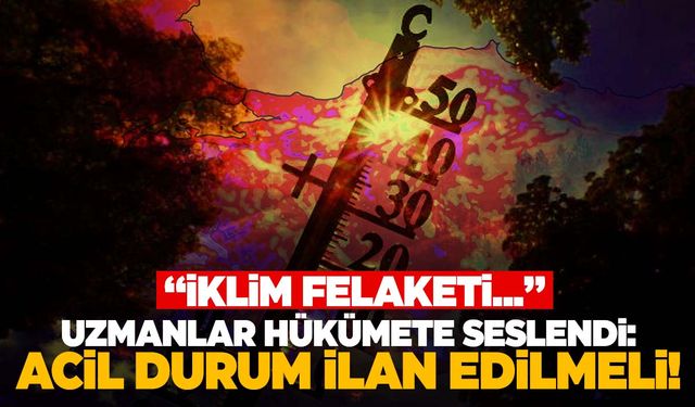 Türkiye kavrulacak! Uzmanlardan hükümete çağrı! Acil durum…