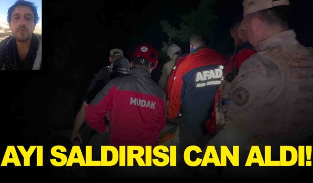 Türkiye’de yaşandı… Ayı saldırısı can aldı!