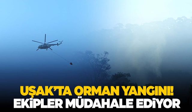 Uşak’ta yangın… Havadan ve karadan alevlerle mücadele!