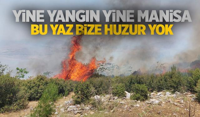 Yine Manisa yine yangın! Havadan ve karadan müdahale başladı