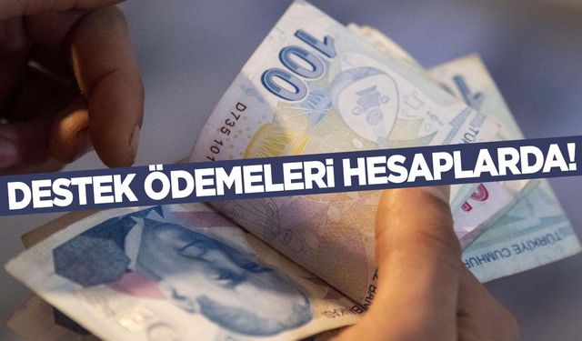 2 milyar 211 milyon liralık ödeme hesaplarda! Hemen kontrol edin!