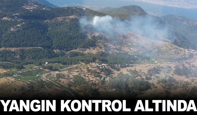 Karabağlar’da çıkan orman yangını kontrol altına alındı