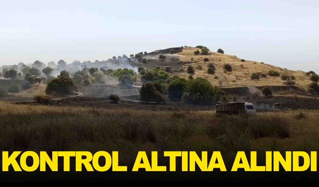 Aliağa yangını kontrol altına alındı