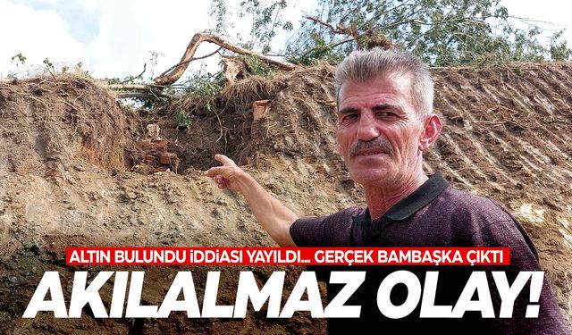 Altın bulundu iddiası yayıldı... Gerçek bambaşka çıktı!