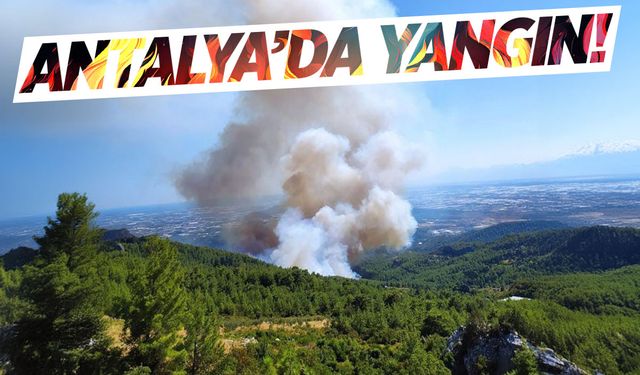 Antalya'da orman yangını! 8 uçakla müdahale ediyorlar...