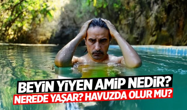 Beyin Yiyen Amip Nedir? Nerede Yaşar? Havuzda Olur Mu?