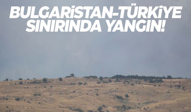 Bulgaristan-Türkiye sınırında yangın çıktı! Alevler sınıra dayandı