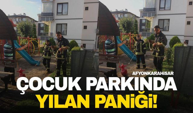 Çocuk oyun alanında yılan paniği