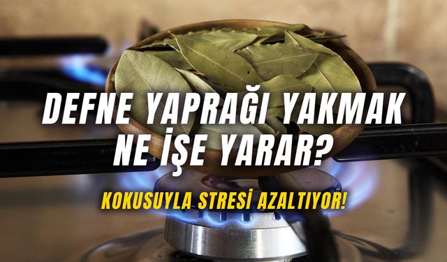 Baş Ağrısı ve Strese Birebir! Defne Yaprağı Yakmak Ne İşe Yarar?  Nasıl Yakılır?