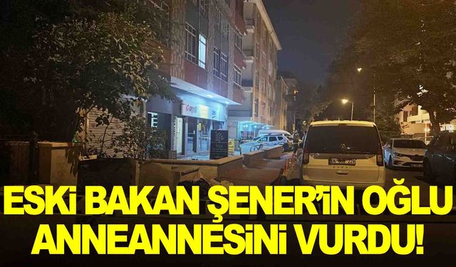 Eski Bakan Abdüllatif Şener’in oğlu, anneannesini öldürdü!