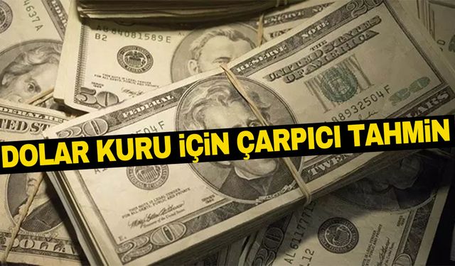 Fitch direktöründen dolar kuru için çarpıcı tahmin… 40 lirayı aşabilir!