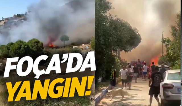 Foça'da yangın çıktı! Havadan karadan müdahale var